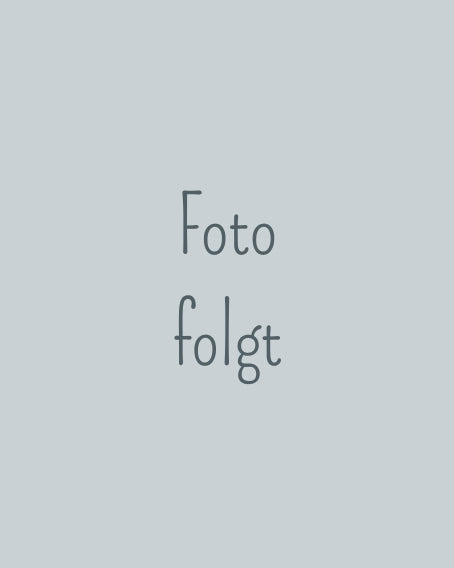 Website Produkt Platzhalter